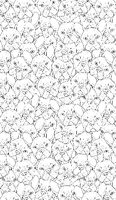 Store intérieur fenêtre avec motifs de chiens dessinés