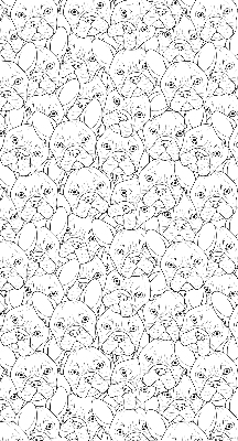 Store intérieur fenêtre avec motifs de chiens dessinés