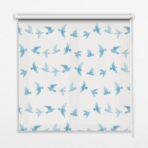 Store intérieur oiseaux bleus