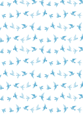 Store intérieur oiseaux bleus