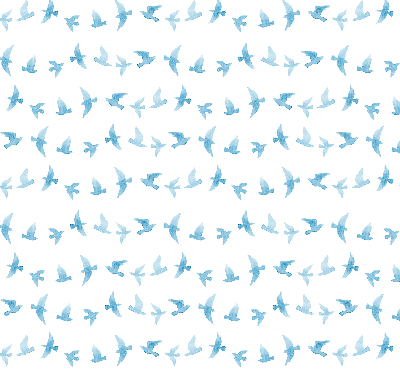Store intérieur oiseaux bleus