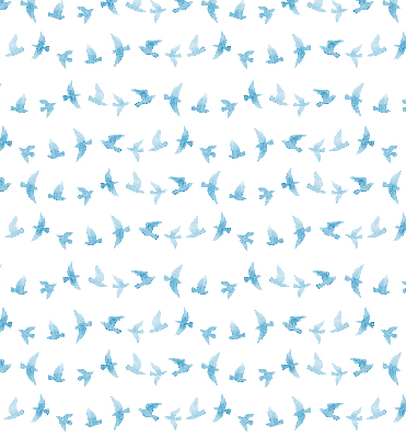 Store intérieur oiseaux bleus