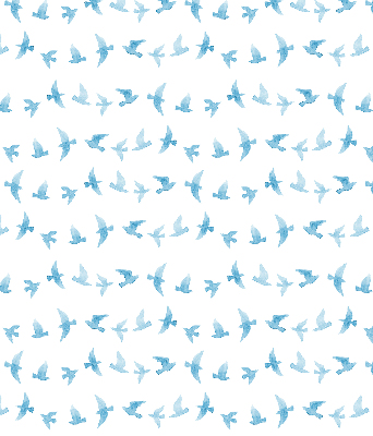 Store intérieur oiseaux bleus