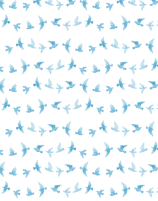 Store intérieur oiseaux bleus