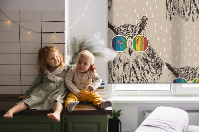 Store intérieur fenêtre avec hiboux dans des lunettes colorées
