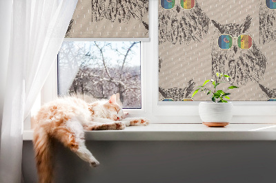 Store intérieur fenêtre avec hiboux dans des lunettes colorées