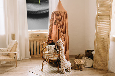 Store intérieur orchidée sur les pierres