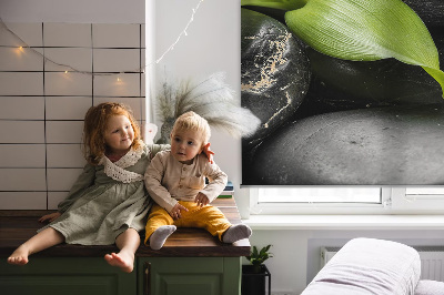 Store intérieur orchidée sur les pierres