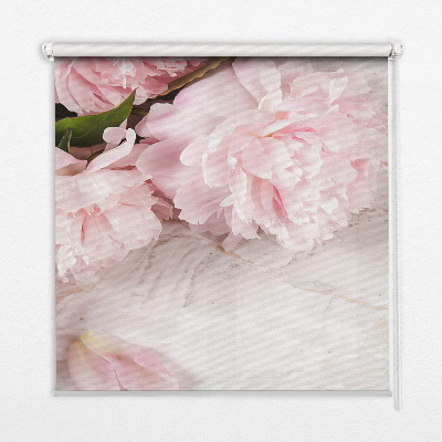 Fleurs d’intérieur pour fenêtre