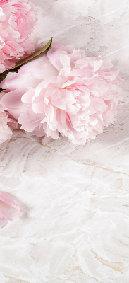Fleurs d’intérieur pour fenêtre