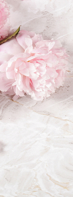 Fleurs d’intérieur pour fenêtre