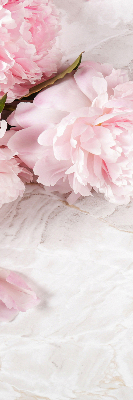 Fleurs d’intérieur pour fenêtre