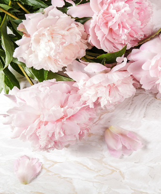 Fleurs d’intérieur pour fenêtre