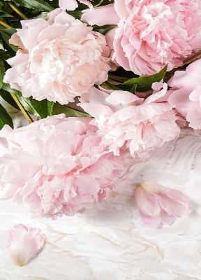 Fleurs d’intérieur pour fenêtre