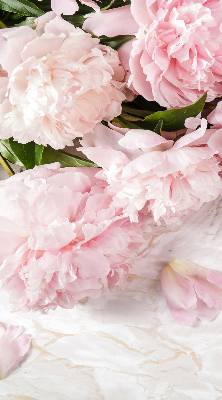 Fleurs d’intérieur pour fenêtre