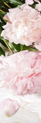 Fleurs d’intérieur pour fenêtre