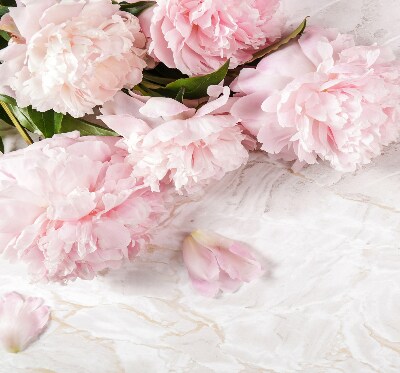Fleurs d’intérieur pour fenêtre