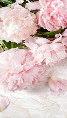 Fleurs d’intérieur pour fenêtre
