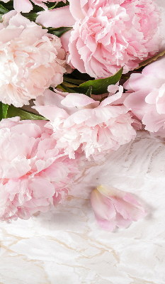 Fleurs d’intérieur pour fenêtre