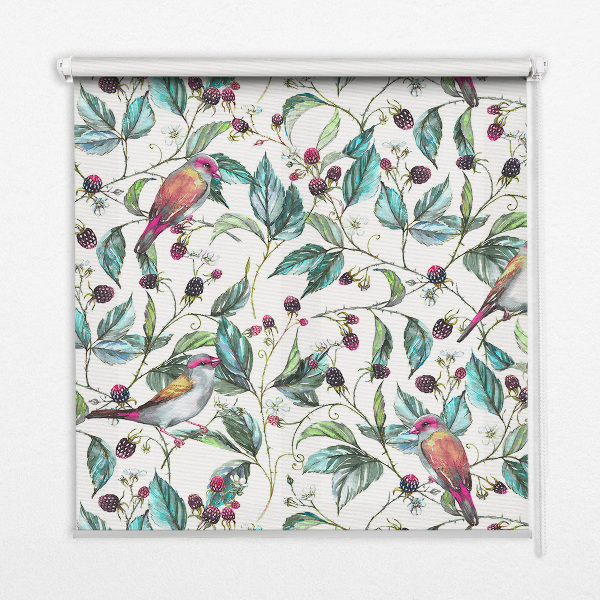 Store intérieur fenêtre avec feuilles bleues et oiseaux colorés