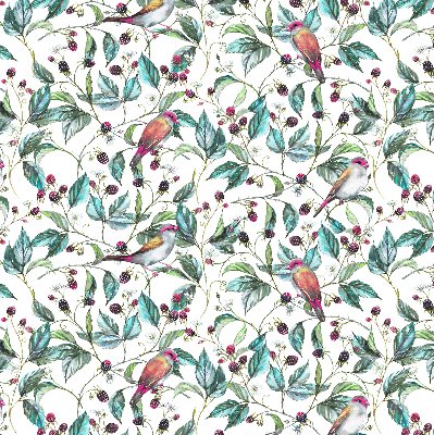 Store intérieur fenêtre avec feuilles bleues et oiseaux colorés