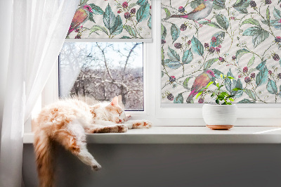 Store intérieur fenêtre avec feuilles bleues et oiseaux colorés