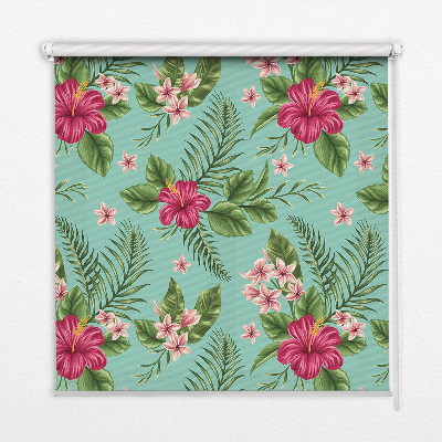 Plantes exotiques pour intérieur et fenêtre