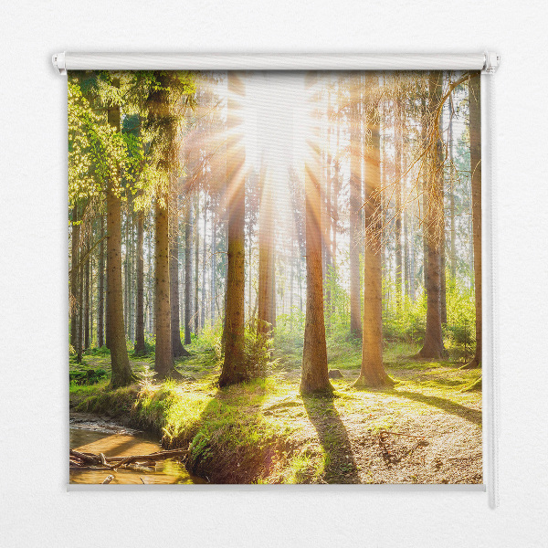 Store intérieur avec motif du soleil qui brille à travers les arbres
