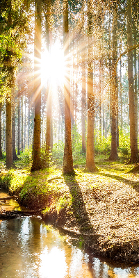 Store intérieur avec motif du soleil qui brille à travers les arbres
