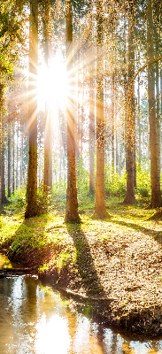 Store intérieur avec motif du soleil qui brille à travers les arbres