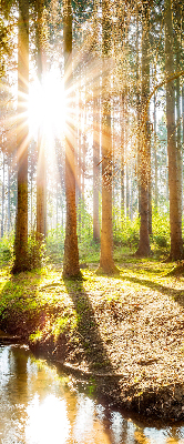 Store intérieur avec motif du soleil qui brille à travers les arbres