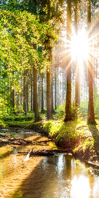 Store intérieur avec motif du soleil qui brille à travers les arbres