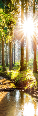 Store intérieur avec motif du soleil qui brille à travers les arbres