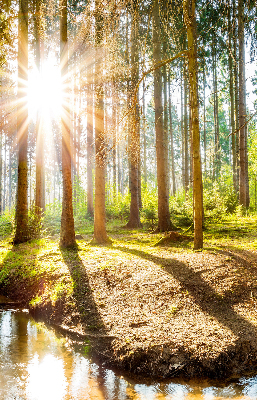 Store intérieur avec motif du soleil qui brille à travers les arbres