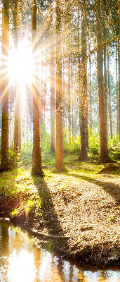Store intérieur avec motif du soleil qui brille à travers les arbres