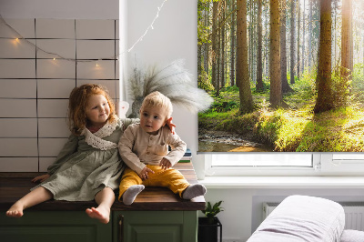 Store intérieur avec motif du soleil qui brille à travers les arbres