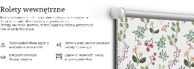 Plantes d’intérieur