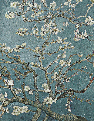 Store intérieur avec motif de brindilles sur fond bleu