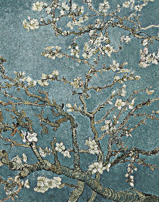Store intérieur avec motif de brindilles sur fond bleu