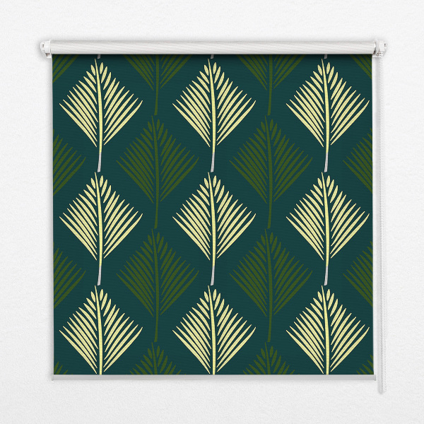 Plantes d'intérieur