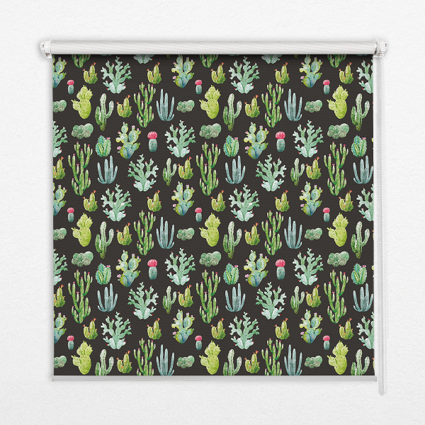 Cactus pour intérieur et fenêtre