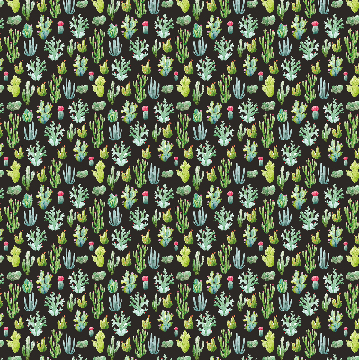 Cactus pour intérieur et fenêtre