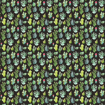 Cactus pour intérieur et fenêtre