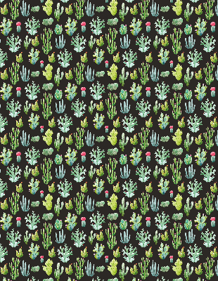 Cactus pour intérieur et fenêtre