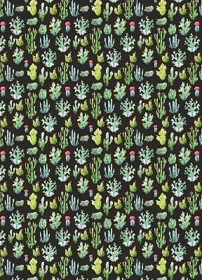 Cactus pour intérieur et fenêtre