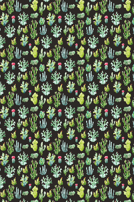 Cactus pour intérieur et fenêtre