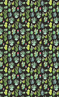 Cactus pour intérieur et fenêtre
