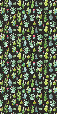 Cactus pour intérieur et fenêtre