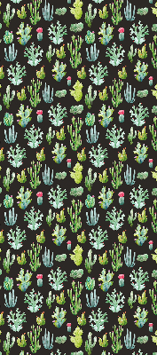Cactus pour intérieur et fenêtre