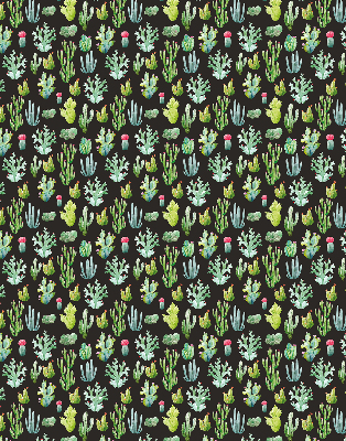 Cactus pour intérieur et fenêtre